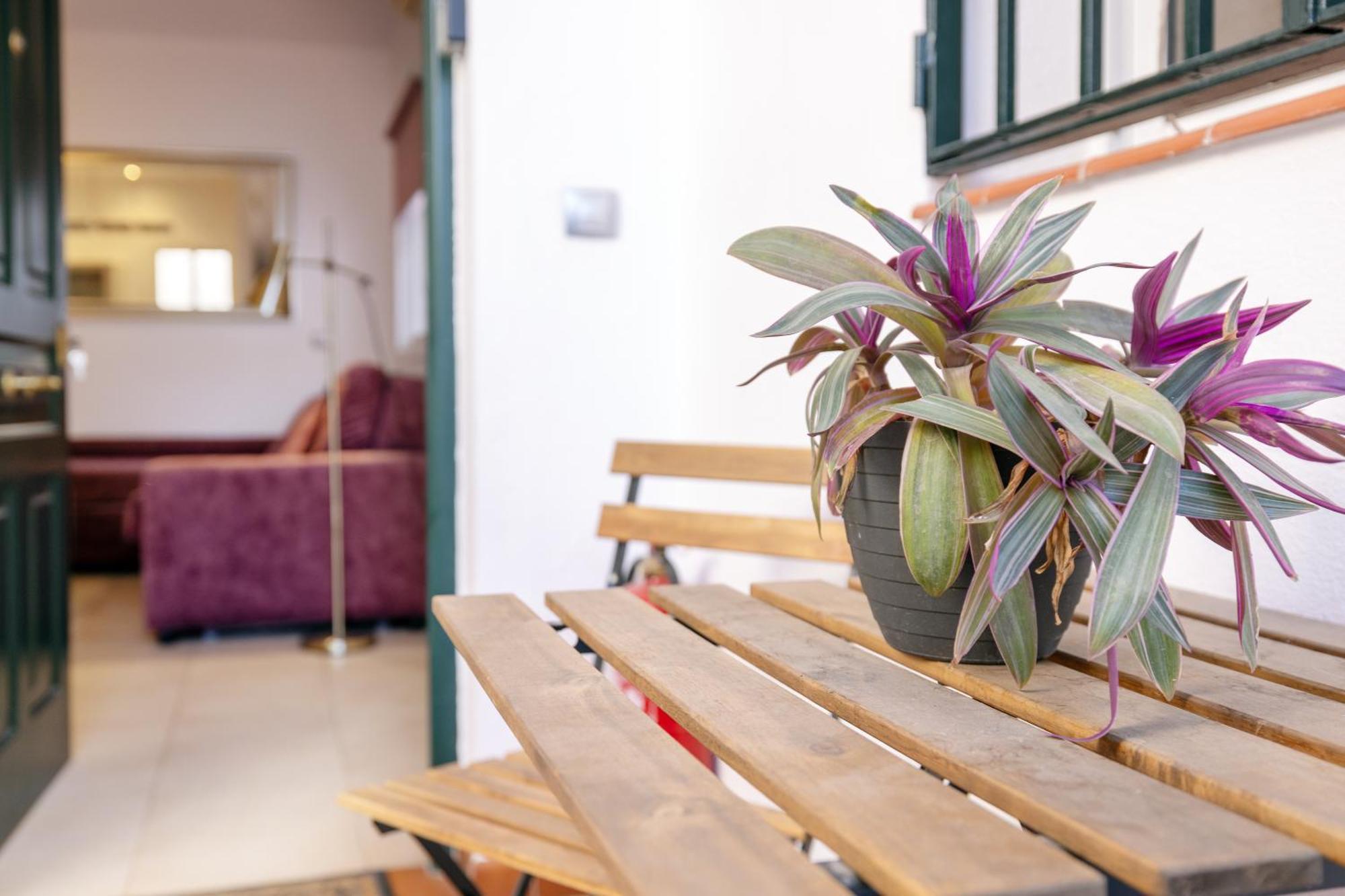 Apartamentos Trianasol Seville Exterior photo